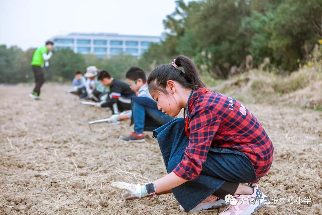 翻地、播种…无锡老小将课堂搬到了田间地头
