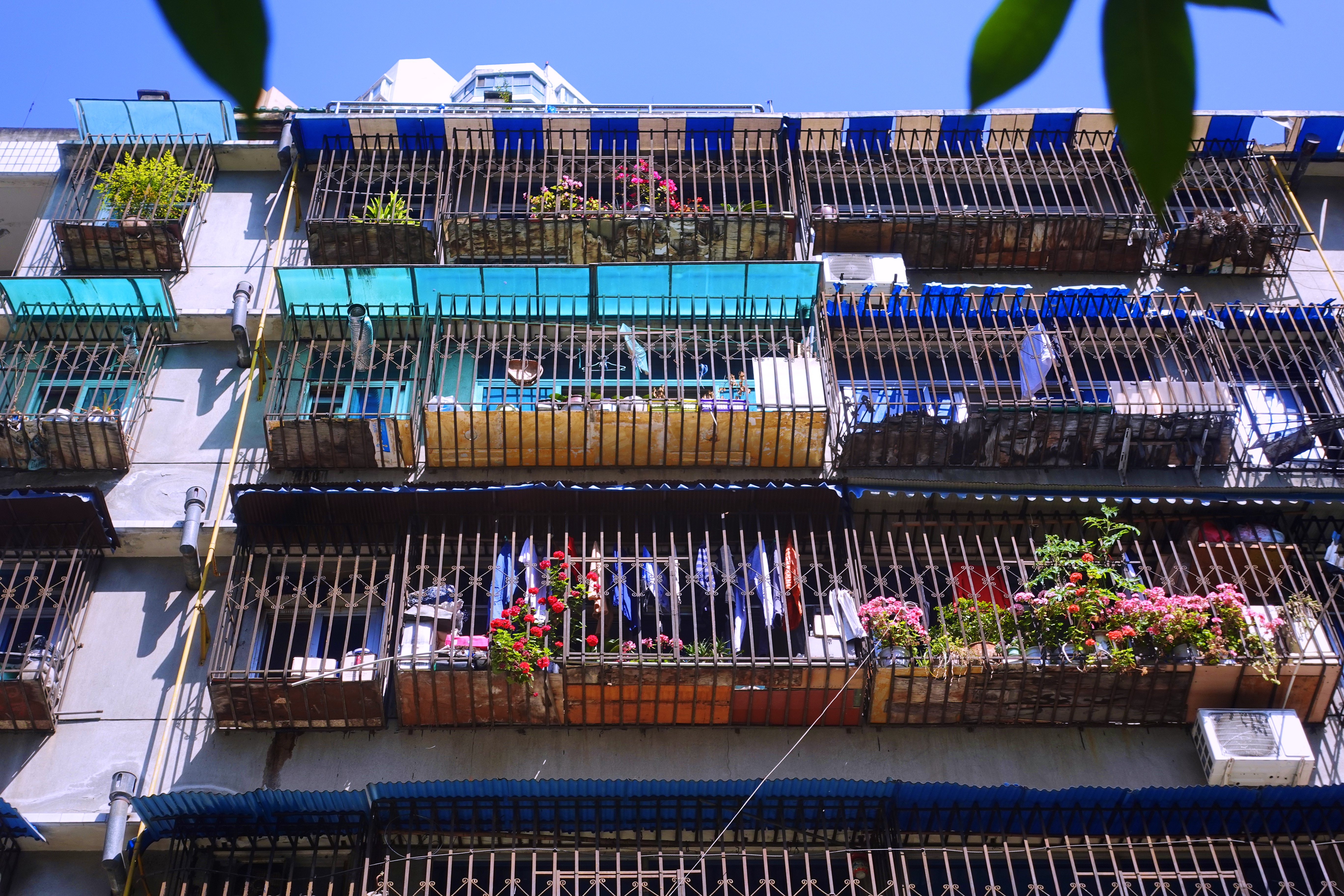 2021幸福感城市成都,最幸福感城市排名成都第一