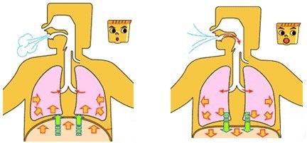 气球套瓶子科学小实验,用塑料瓶和气球变废为宝做成玩具