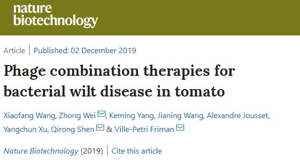 突破,南京农业大学韦中博等人首次用噬菌体治疗番茄细菌性枯萎病