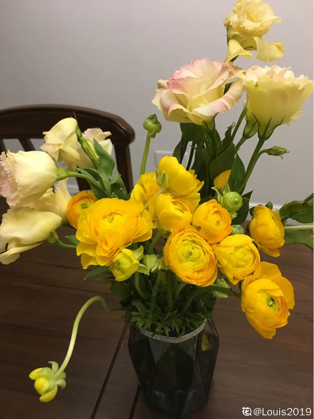 春天开的花有哪些常见又漂亮,十大名花在春天开的有哪些