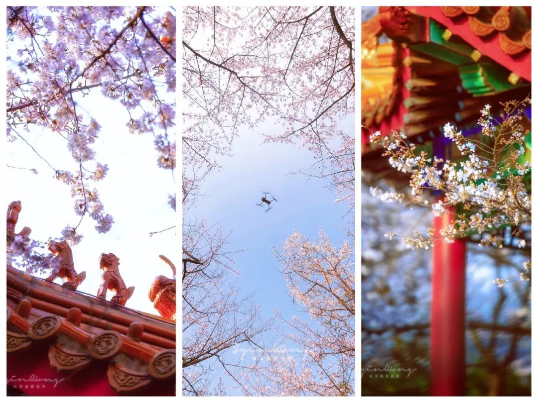 徐州清明假期旅游攻略,徐州春天去哪里旅游好