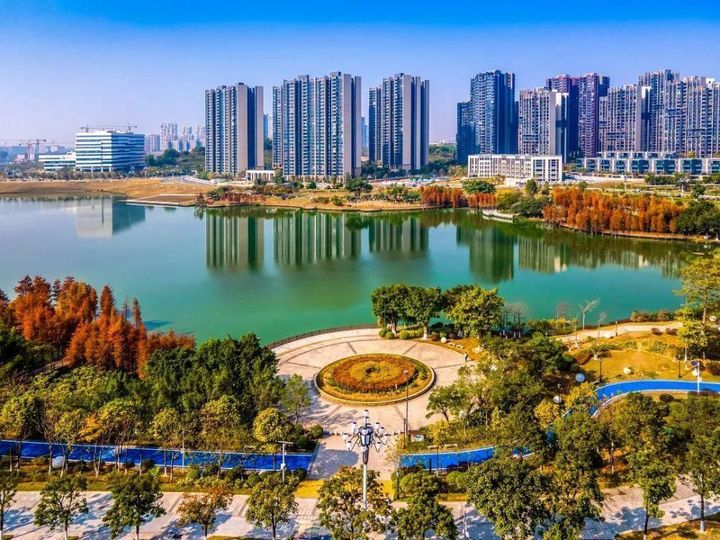 上海这些免费好去处你都知道吗,上海十大好玩又免费的地方推荐