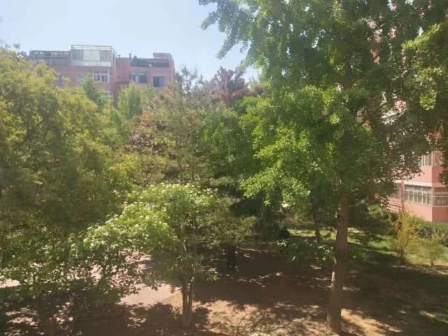 在北京上班的生活的感受,在北京工作的真实感受