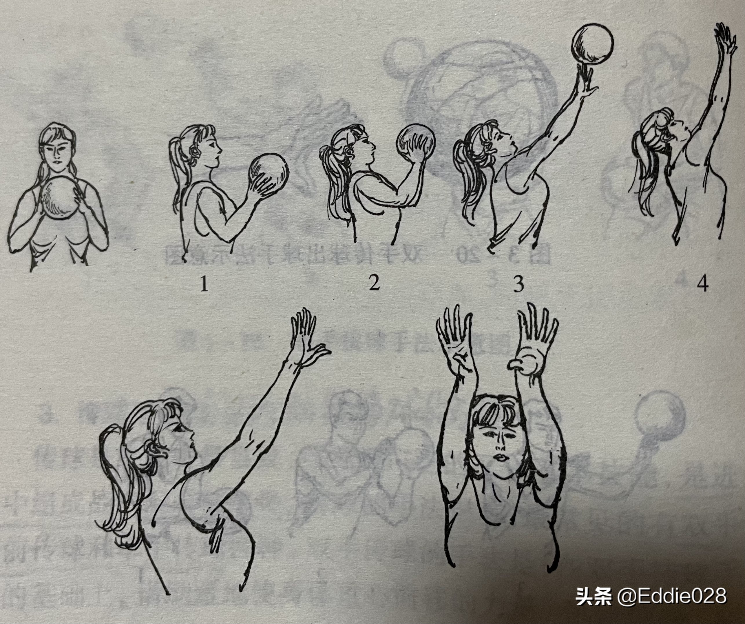 零基础篮球训练知识分享三（持球、传接球、投篮、运球）