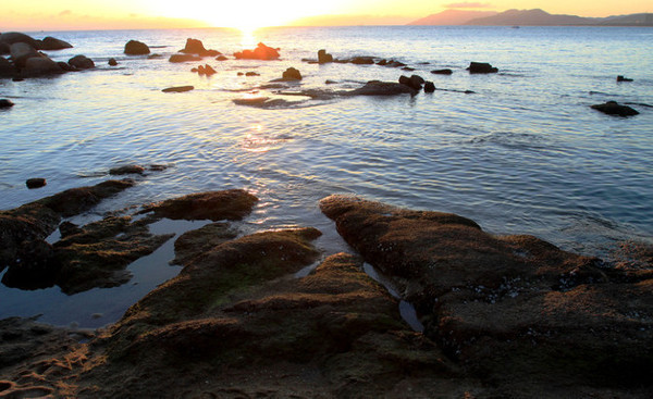 我的海南之旅作文,从海口到三亚感受海南的无限魅力