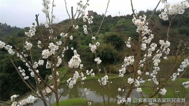 重庆半边桥度假村,璧山半边桥度假村