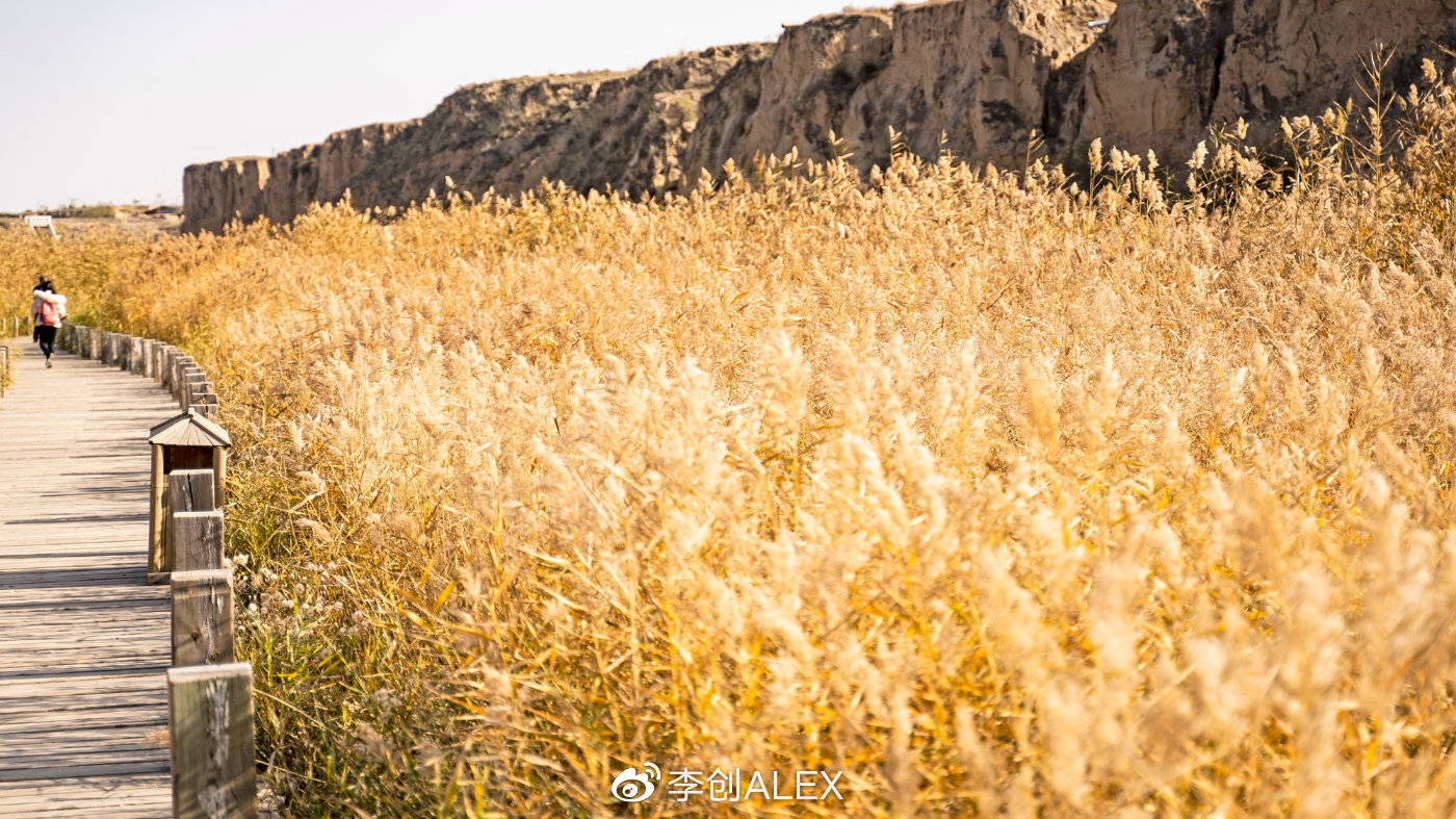 来宁夏玩的攻略,从宁夏去内蒙怎么玩