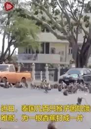 疫情过后有多少人没工作了,疫情还没结束却被辞退了