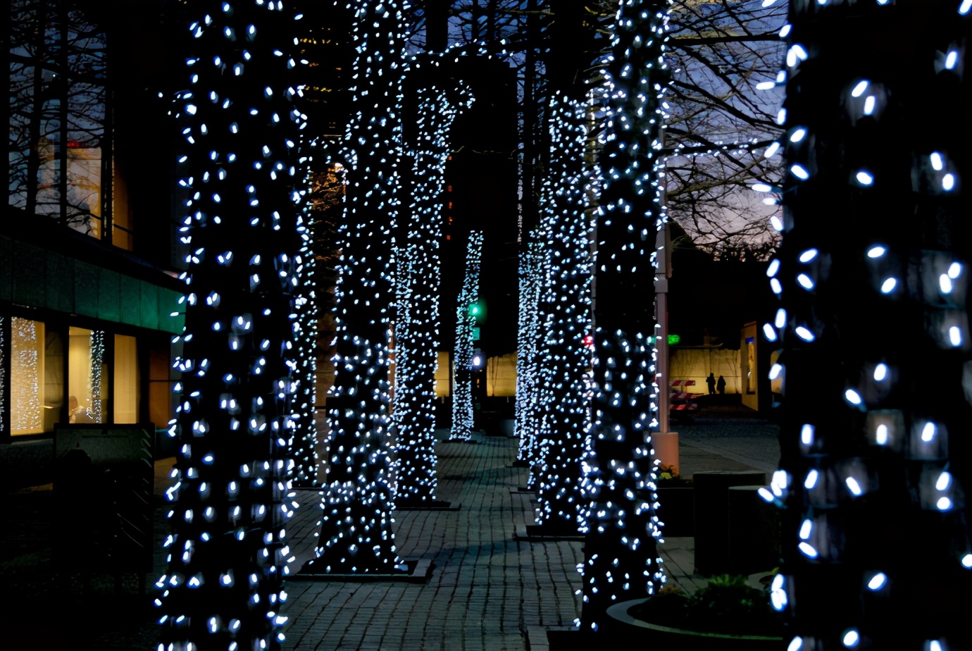 美国德州暴雪造成停电的影响,美国德州停电的主要原因