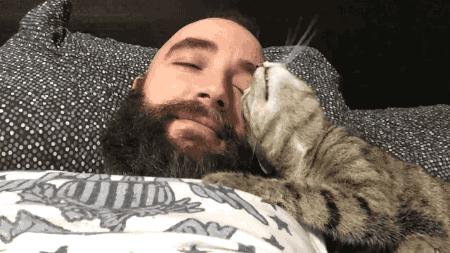 猫咪与自家小猫相处之道,怎么吸引猫咪让猫咪一直在你身边