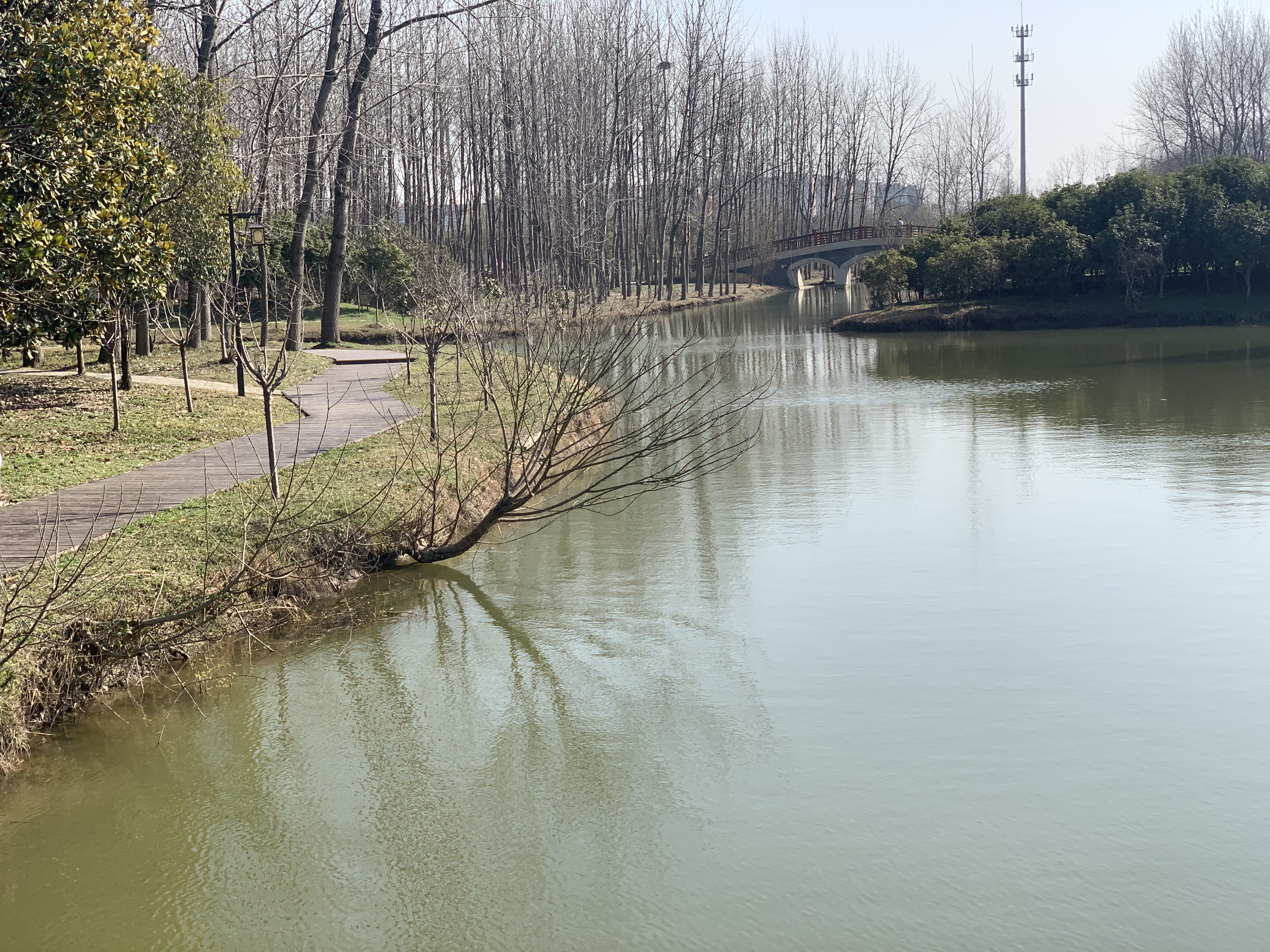 扬州扬子津郊野公园,扬州城市书房附近的公园