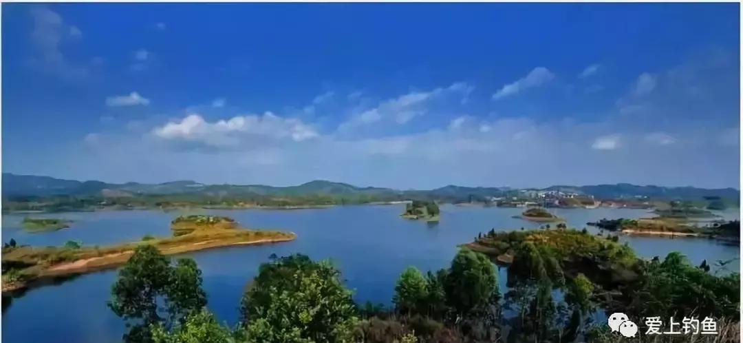 河道手竿钓鲤鱼,仁寿黑龙滩可以钓鱼吗