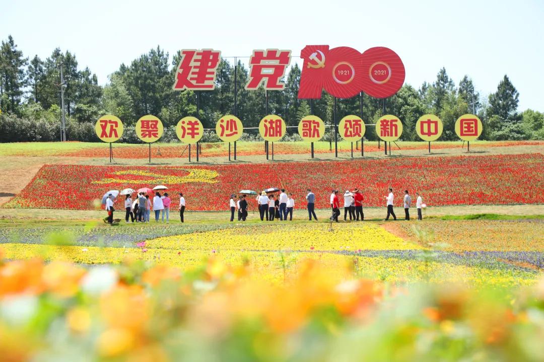 万亩花海游玩,湿地公园网红打卡地花海
