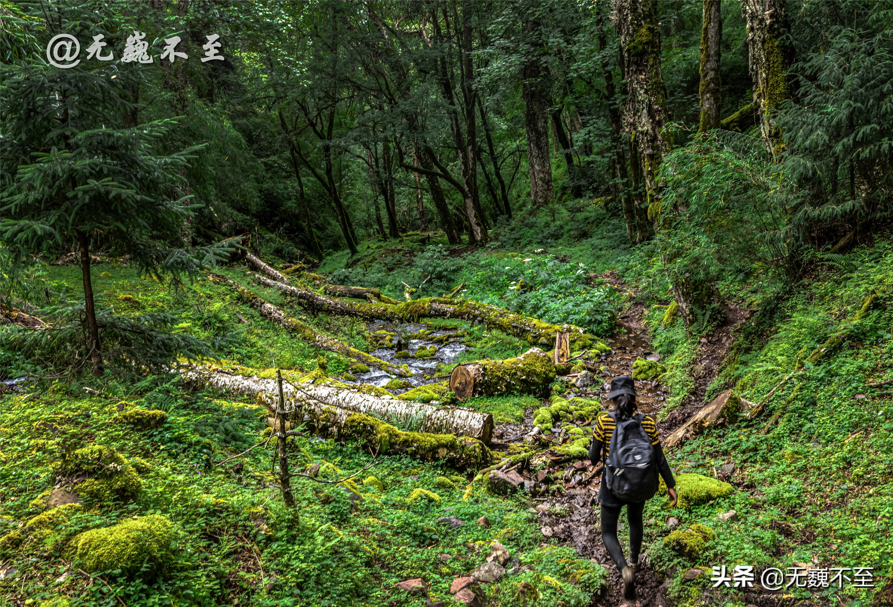 梅里北坡亚贡村，山美水美人更美，真正的香格里拉秘境