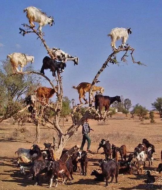 发现被别人偷拍照片,偷拍别人的照片是否违法