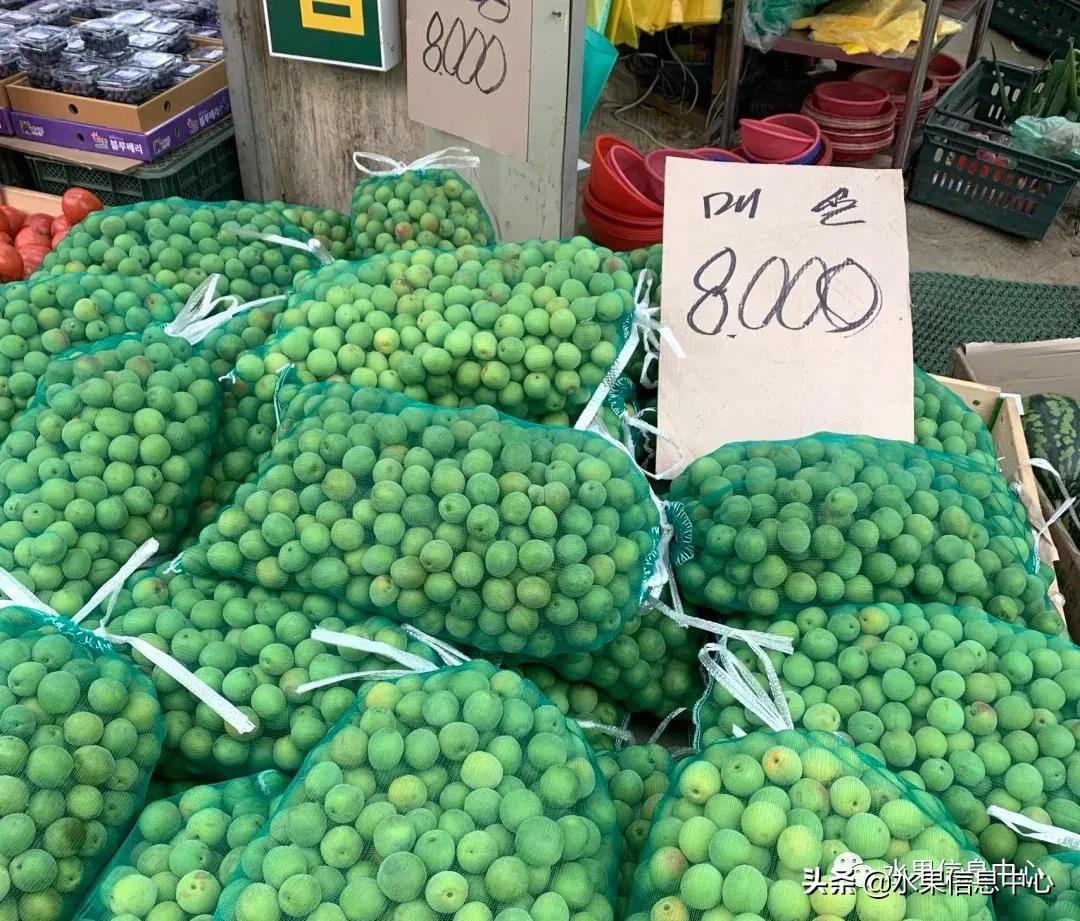 韩国水果批发市场进货渠道,韩国首尔最大的水果批发市场