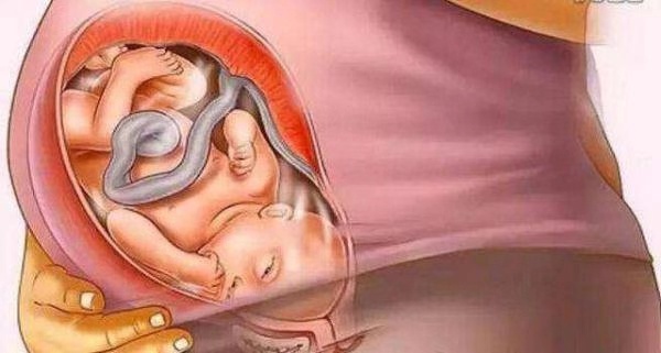 终于体会到母亲十月怀胎的辛苦,女人的十月怀胎真的是太伟大