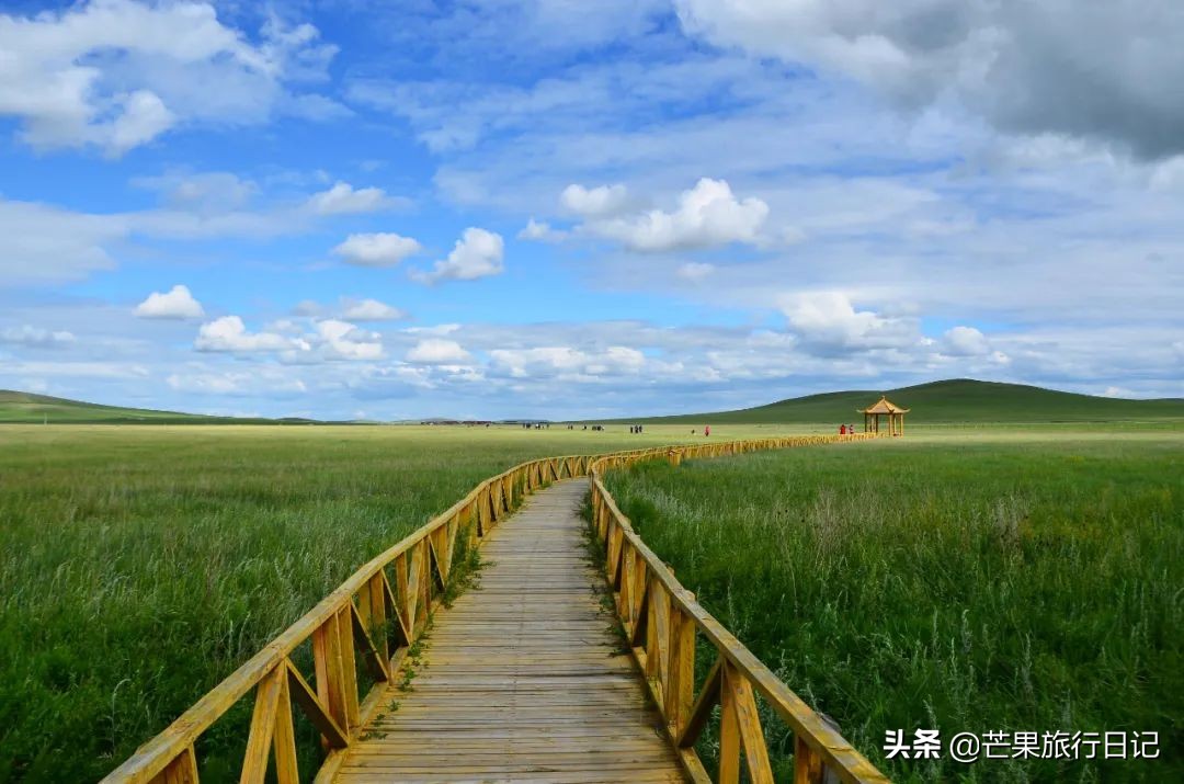 带妈妈旅游去西藏,带妈妈去内蒙