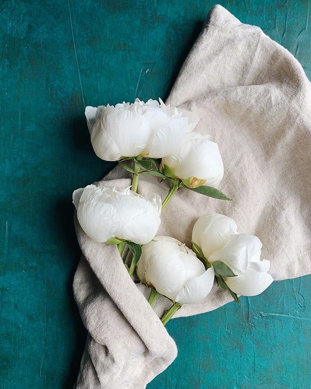 比水还干净的治愈句子句句温暖,比水干净的经典句子