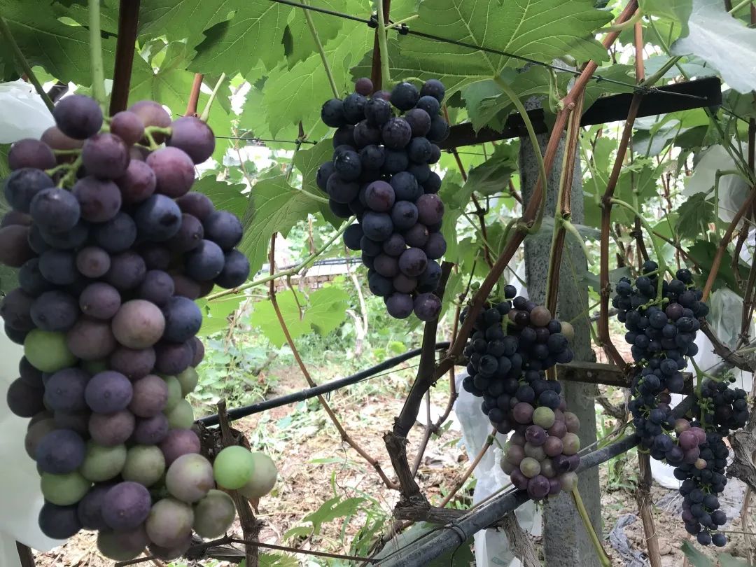 济南市灵山风景区,济南古香古色的景区