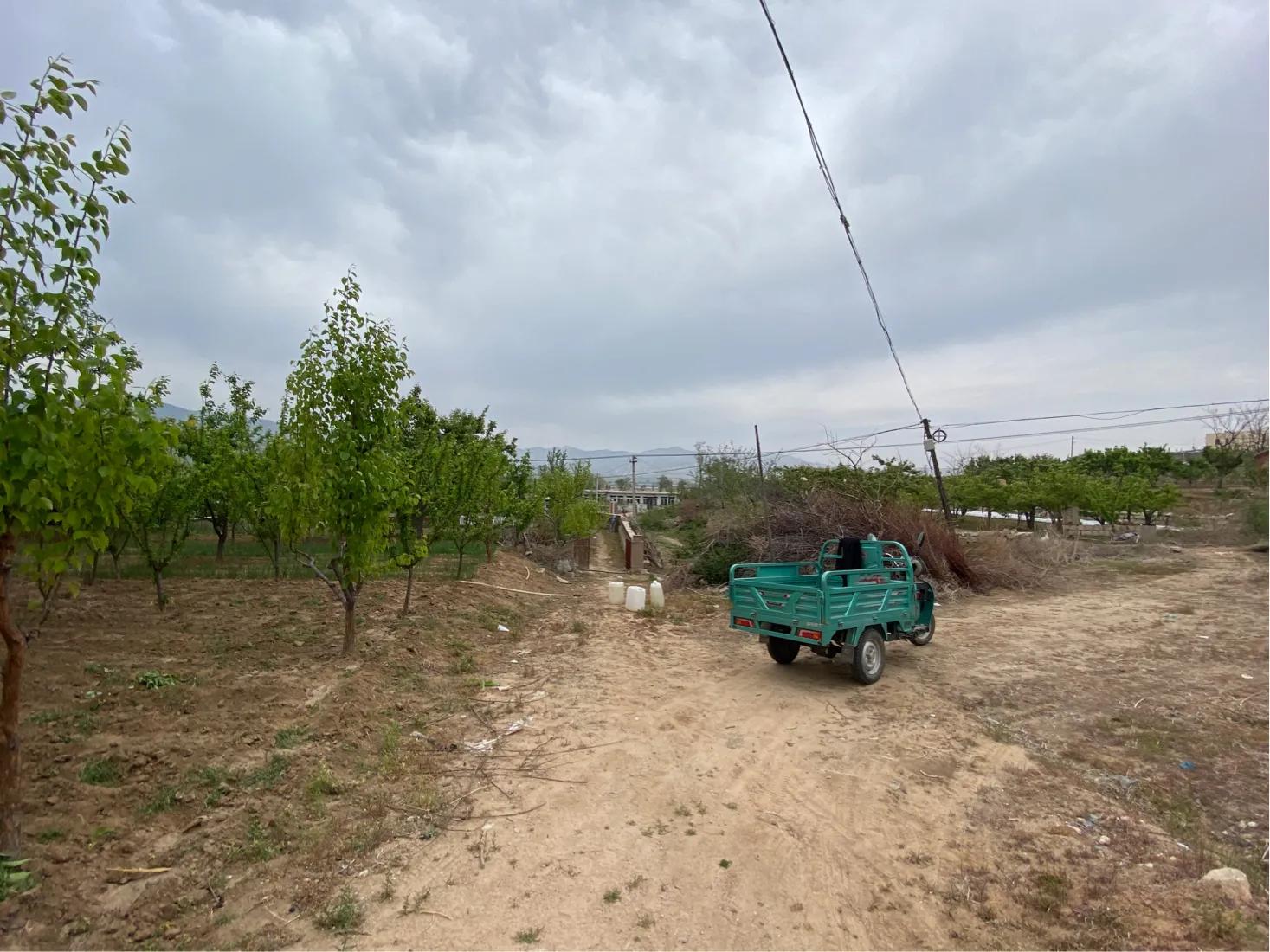 【7/5】29、搬倒井后太爷墓