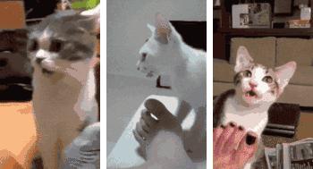 超轻飞织鞋安踏李宁女生,李宁经典板鞋304