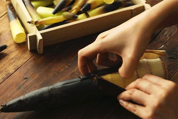 人吃的笋和大熊猫吃的笋一样吗,春笋是大熊猫吃的吗为什么