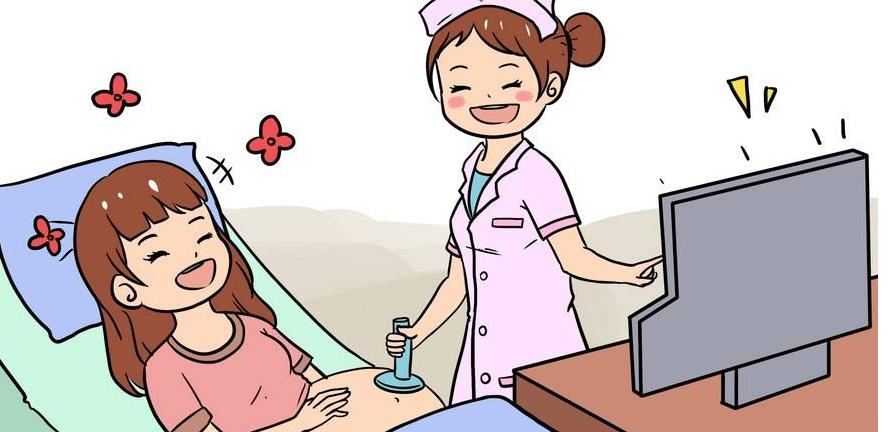 记录产检的收纳册,产检时间表及产检项目一览图片