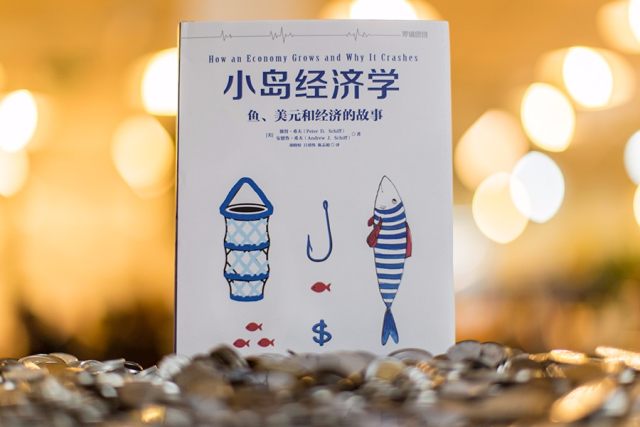 小岛经济学深度解析,小岛经济学鱼