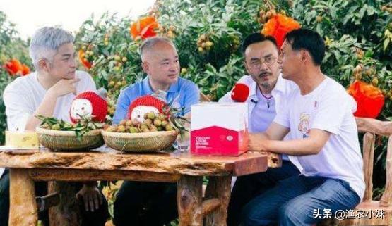 越南十大水果排行,越南所有水果品种