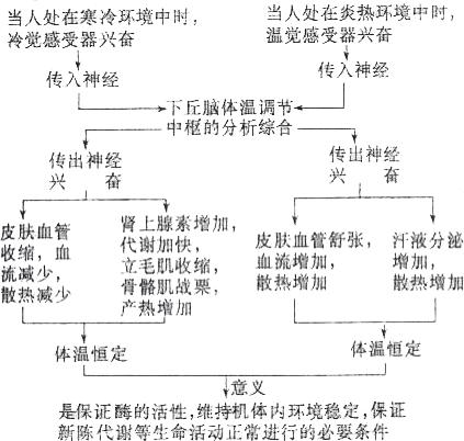 大人体温37.8度一直低烧不退,体温总是在38.9度不退怎么办