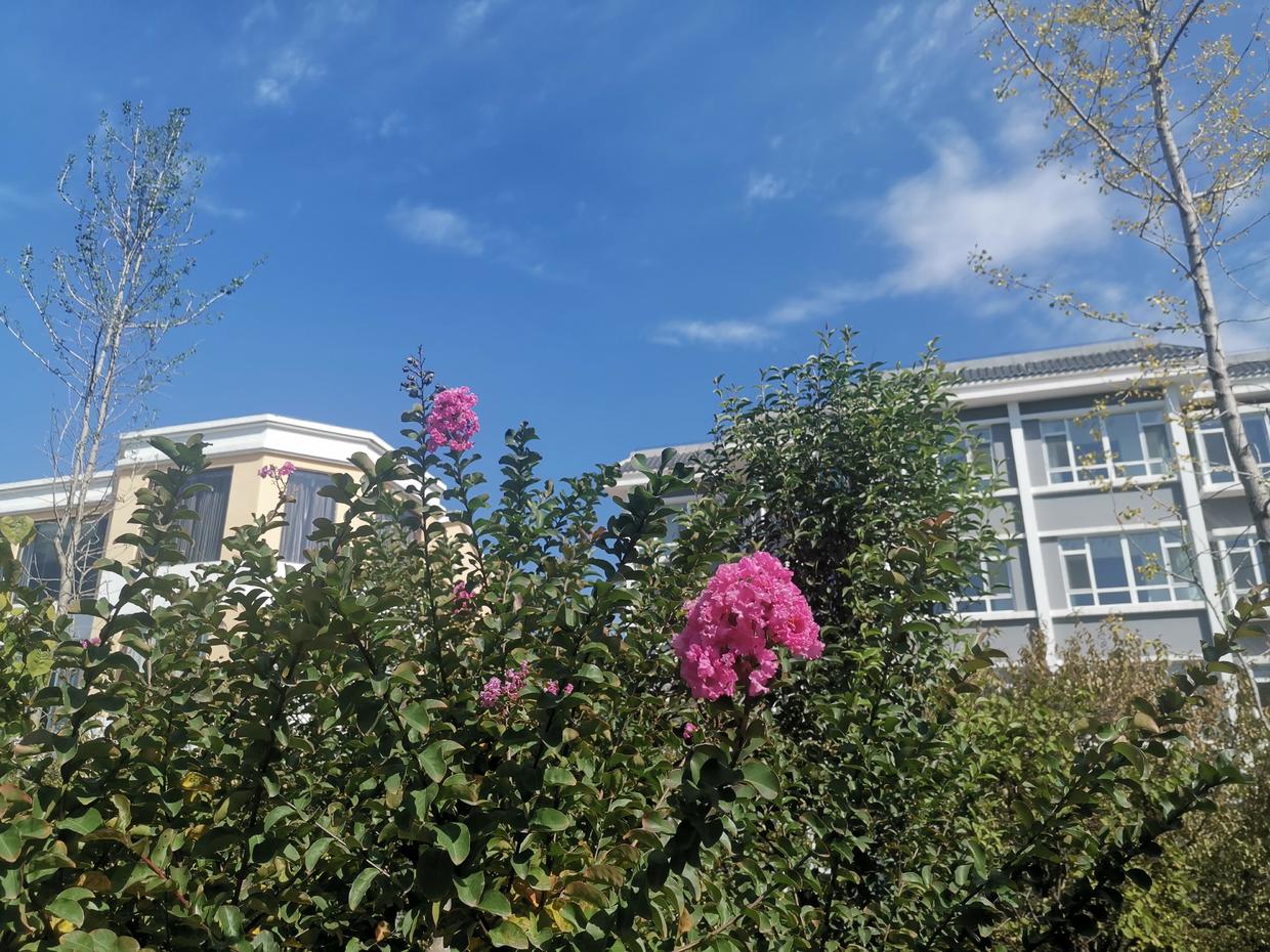 支付宝余额宝钱消失了怎么办,支付宝里借呗怎么突然消失了