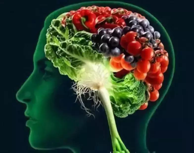 微生物脑肠轴介绍,微生物肠脑轴关系图