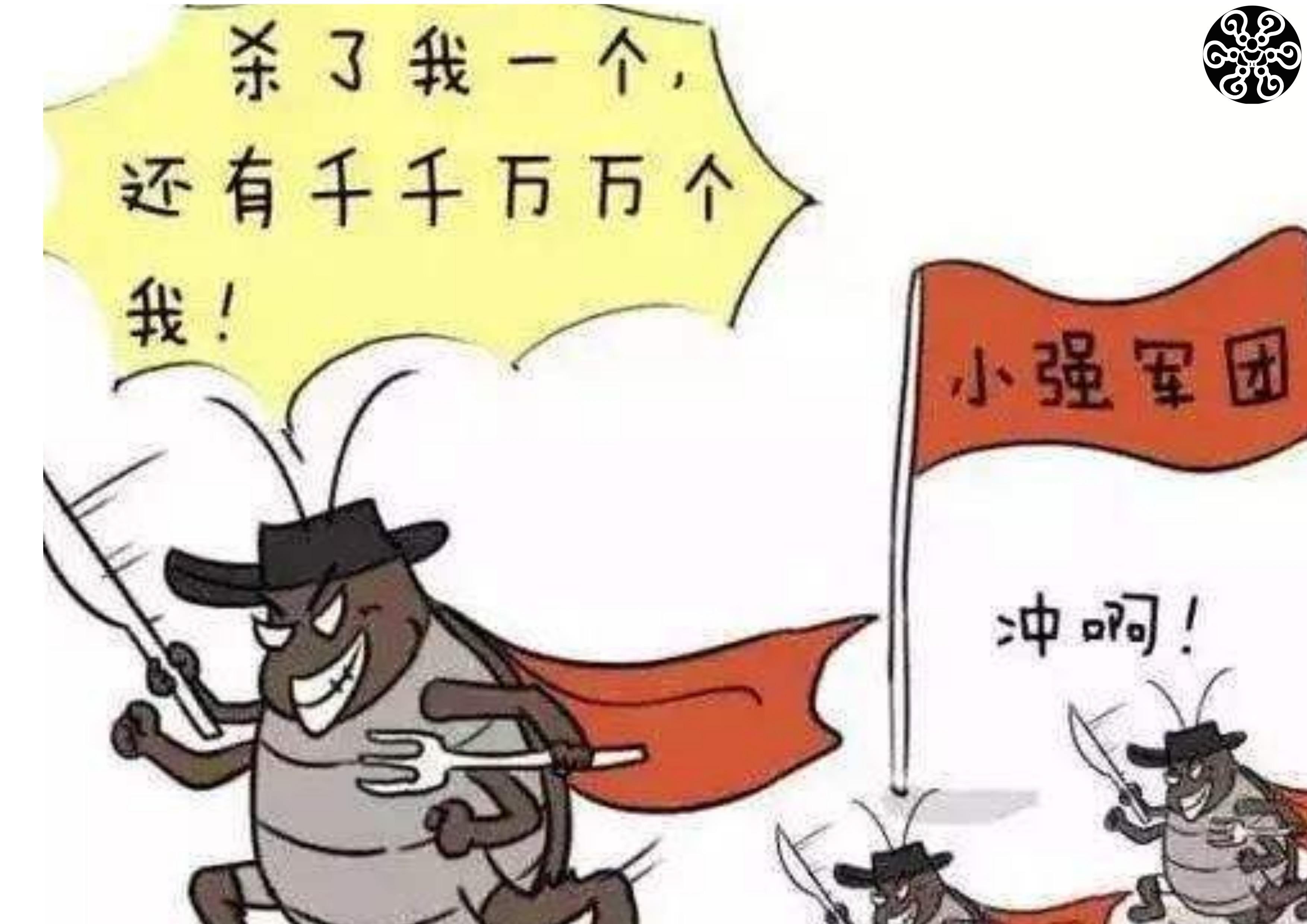 家里蟑螂多用哪种杀蟑办法,蟑螂全身携带致病菌