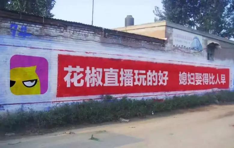 土味刷墙广告是什么 (农村刷墙广告为什么这么火)