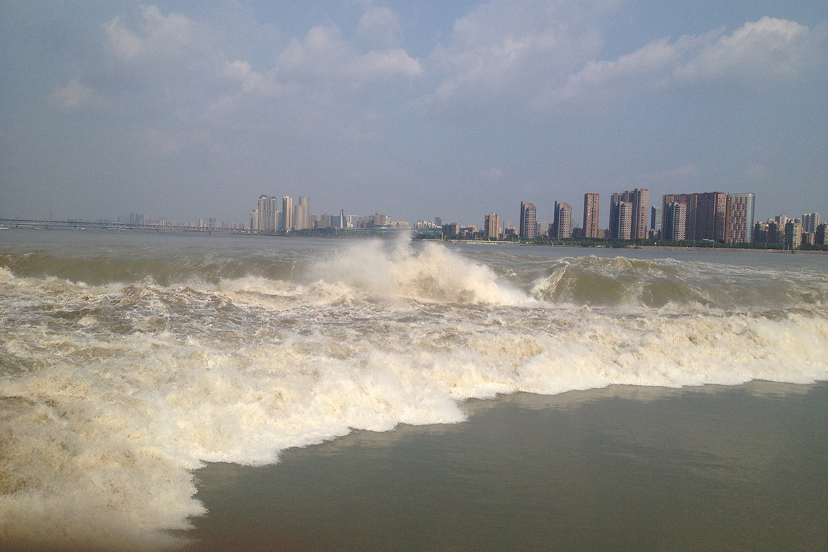 嘉兴旅游攻略自由行推荐,嘉兴乌镇旅游线路推荐