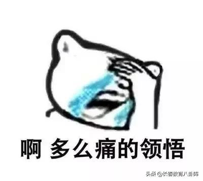 长春新区有多少所学校,长春新区教育好吗