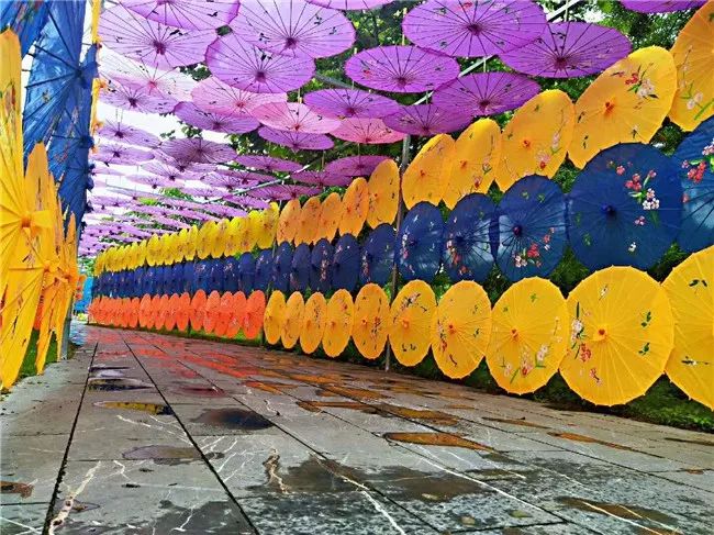 中农富玉大事记,中农富玉未来发展趋势