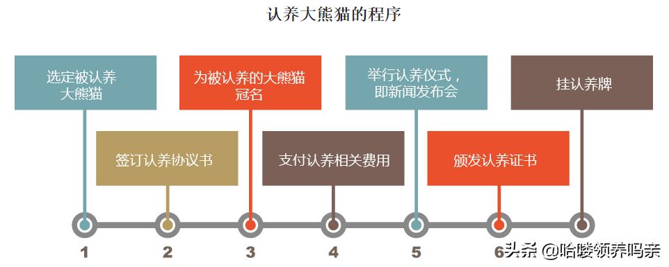 想养一只大熊猫有多不容易,怎么样能养大熊猫