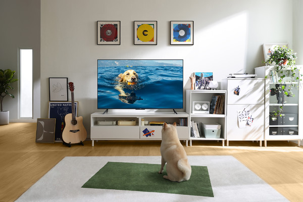 智能电视参数看这一篇基本就够了，呕心整理详细解析，建议收藏