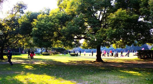 有了这份攻略,上海地铁直达景点