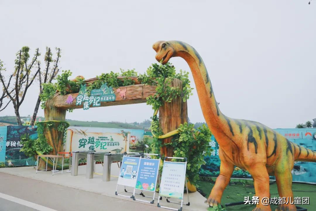 空港花田和空港体育公园哪个好,空港运动公园看飞机攻略