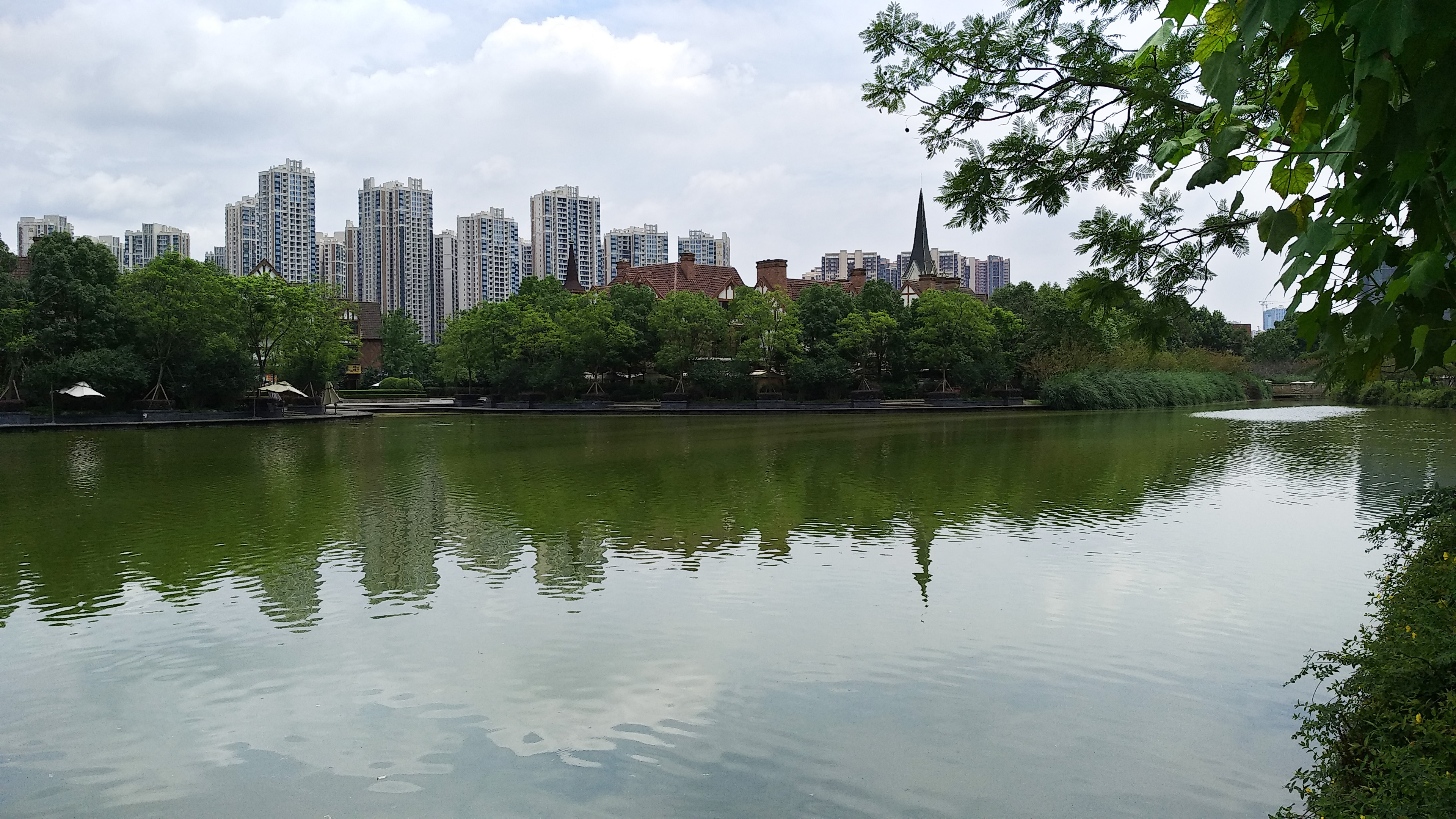 成都南湖公园钓鱼,成都南湖公园