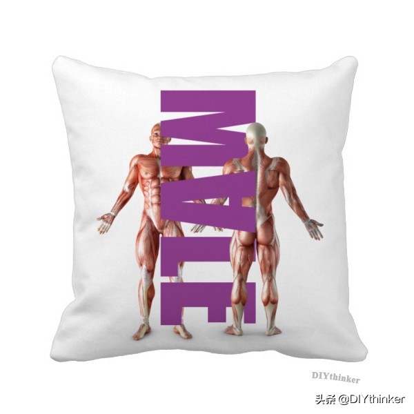 既舒适又可爱的抱枕,复古的抱枕太好看了