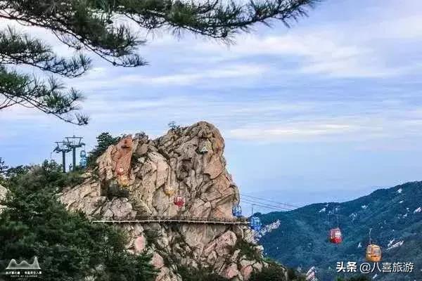 导游证免费进景区山东,山东能使用导游证免费的景点