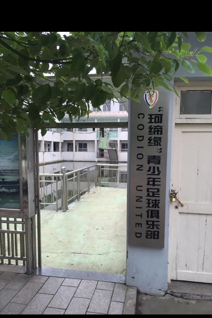 留洋足球小将,留洋小将篮球