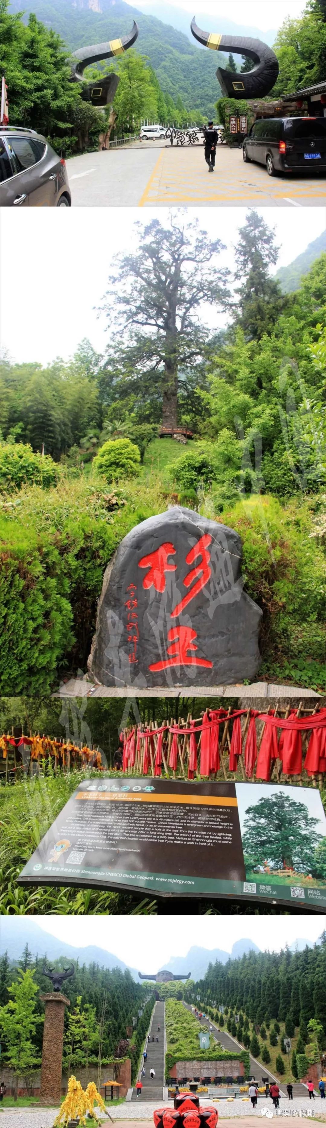 自驾车游遍中国之（一）——世界那么大，我想去神农架