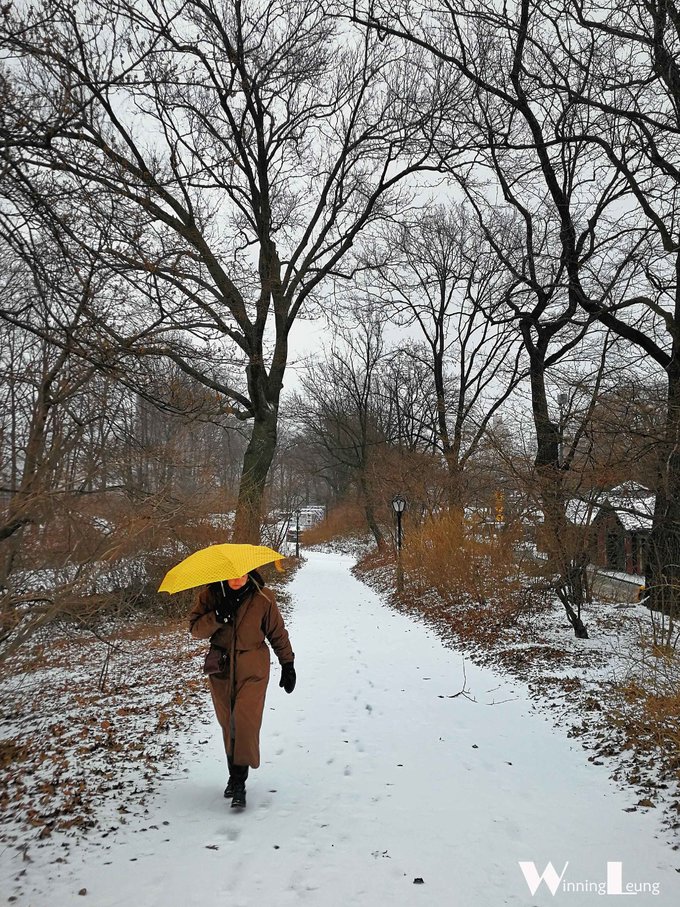 纽约中央公园世界奇迹,纽约中央公园浦东世纪公园