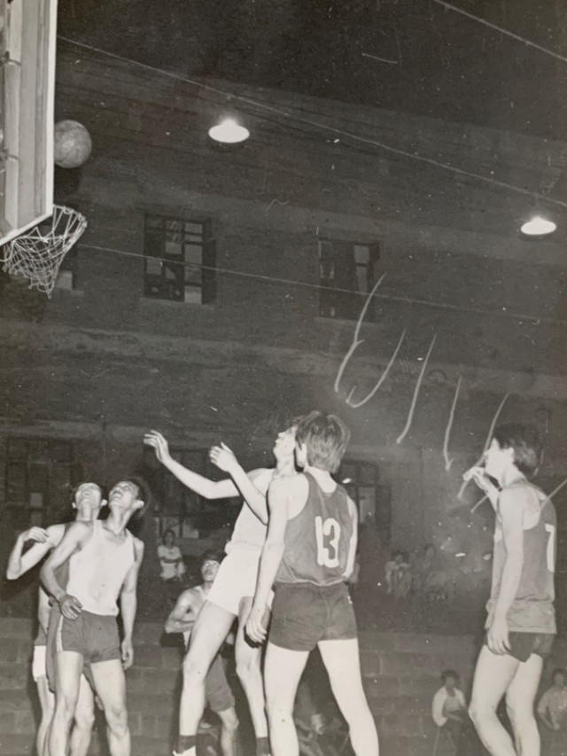 南棉老照片,南棉老照片大全